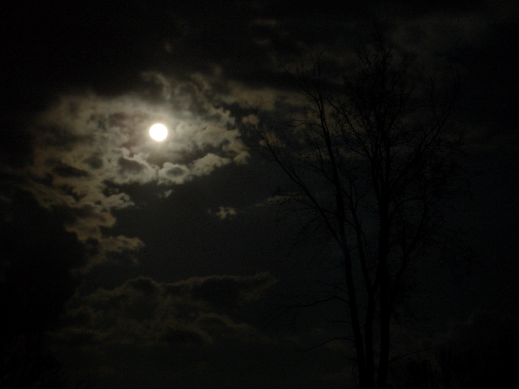 Moons Clouds Tree 2 Image 1024x768 Pixels