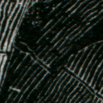 part of a scanned engraving, enhanced
