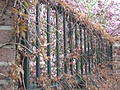 Bars with Blossom 3