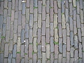 Cobbles 1