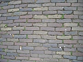 Cobbles 2