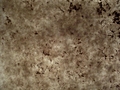 Texture: resin 2