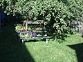 Toronto Garden