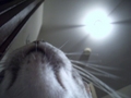 looking up