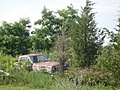 Abandoned car 3
