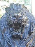 Bronze lion 3