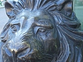 Bronze lion 4