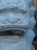 Chinese lion's mouth