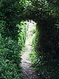 Secret Garden