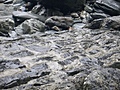 Ruins of Tintagel Castle 13: Tide-washed bricks