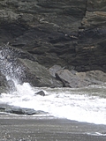 Tide spray