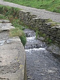 Stream