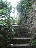 Stairs to the light