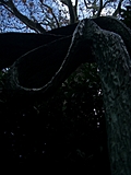 Barbara Hepworth Musem & Sculpture Gallery 12: statue