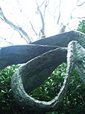Barbara Hepworth Musem & Sculpture Gallery 13: statue
