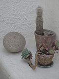 Barbara Hepworth Musem & Sculpture Gallery 18:Plants with round stone