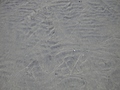 Sand ridges texture