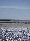 Looking out to sea