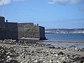 Castle harbour