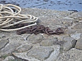 Boat chains 2
