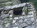 Sentry window