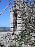 Overgrown turret