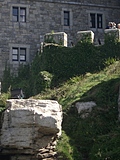 Castle walls 2