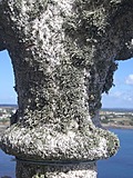 Encrusted stone cross