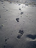 Bare footprints in wet sand