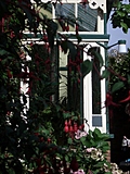 Conservatory from the garden