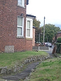 Path through the grass