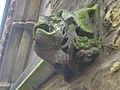 copweb-covered gargoyle 2