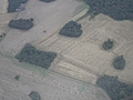 English fields from above 4