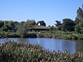 Bird centre