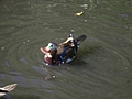 Duck In Motion
