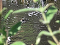 A Private bath