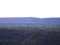 Panorama from the hotel window 6