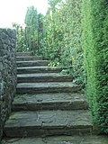 Winding stone stairs in the garden 2