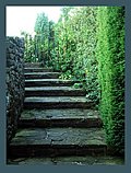 Winding stone stairs in the garden 3