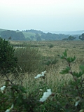 Over the fence to the hill