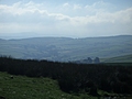 Hill with grass