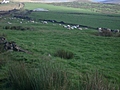 Panorama - Sheep-covered hills: 37