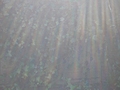 creeper with lens flares