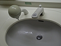 Japanese sink