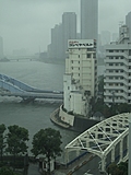 View from the Office 3