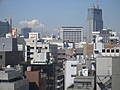 View from the Office 7
