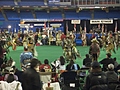 Toronto Pow-Wow 11