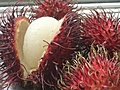 Rambutan Fruit 4