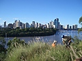 Downtown Brisbane from a distance 2