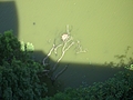 Looking down at the water 2